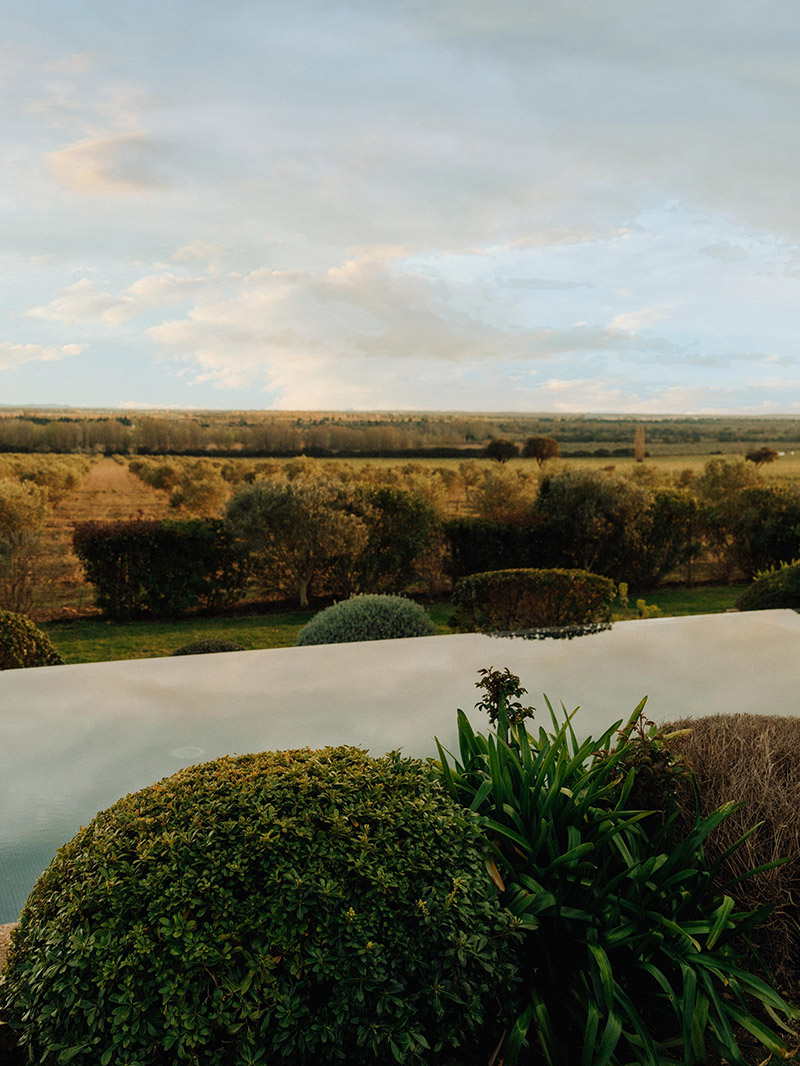 MARINA RINALDI HEROV2 DESKTOP 800x1066 1 (1) Marina Rinaldi