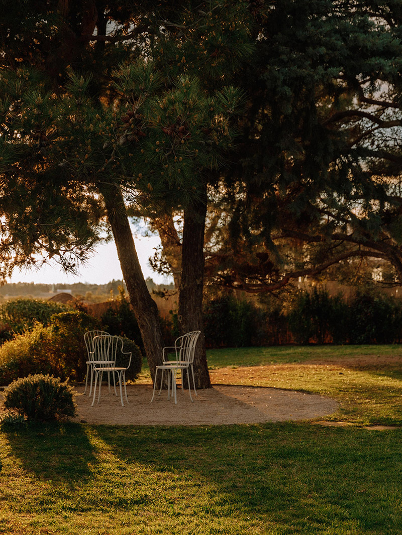 MARINA RINALDI HEROV2 DESKTOP 800x1066 2 (1) Marina Rinaldi